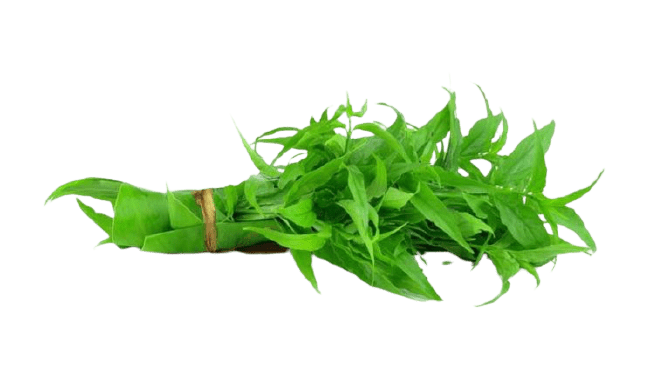 Madu Hitam Terbaik