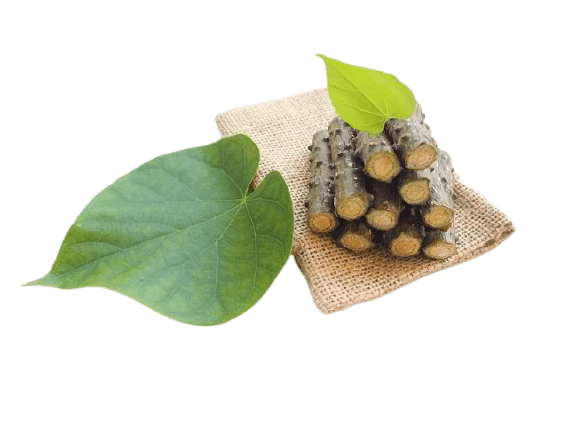 Kembang Bulan